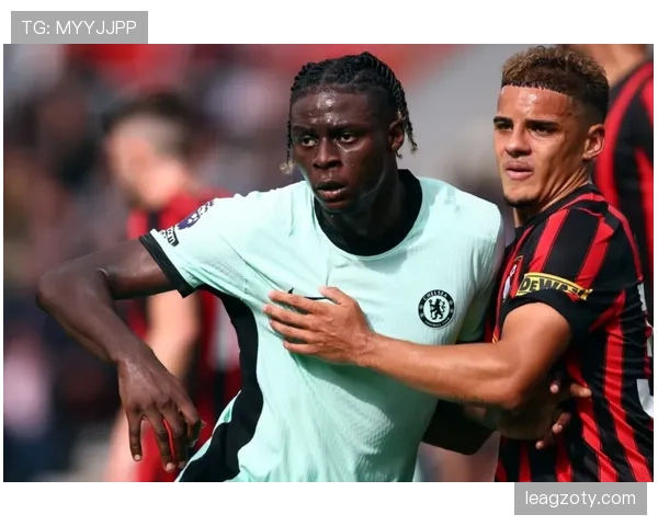 帕利尼亚与罗德里：防守屏障与控场核心的后腰角色差异解析